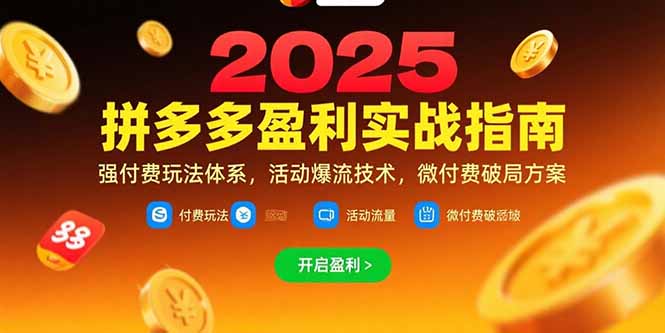 拼多多盈利实战指南,强付费玩法,活动爆流技术,微付费破局方案(更新7月-一个公司创业项目 - 淘金吧