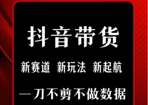 抖音短视频一刀不剪带货,不剪辑,不直播,每天发个视频,等着出单获取带货佣金-一个公司创业项目 - 淘金吧