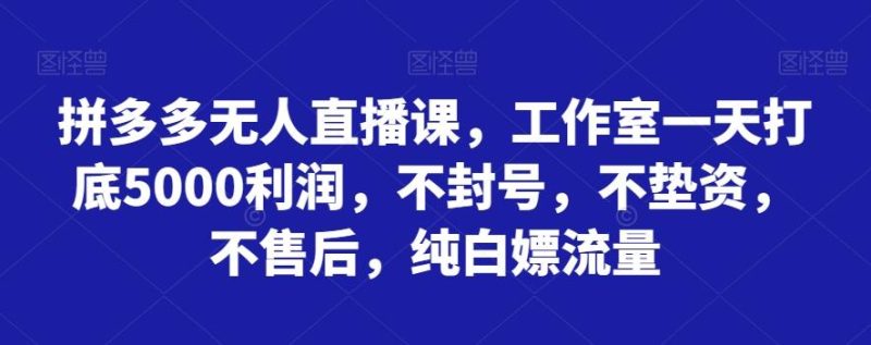 拼多多无人直播课，工作室一天打底5000利润，不封号，不垫资，不售后，纯白嫖流量-一个公司创业项目 - 淘金吧