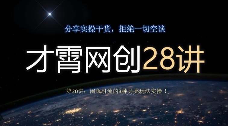 才霄网创28讲第20讲：闲鱼引流的3种另类玩法实操！-一个公司创业项目 - 淘金吧