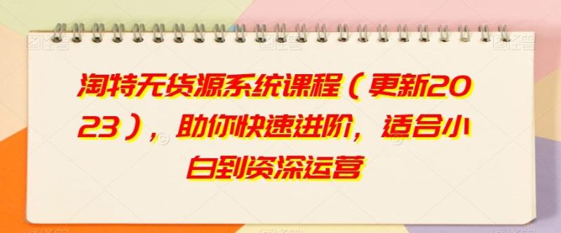 淘特无货源系统课程(更新2023),助你快速进阶,适合小白到资深运营-一个公司创业项目 - 淘金吧