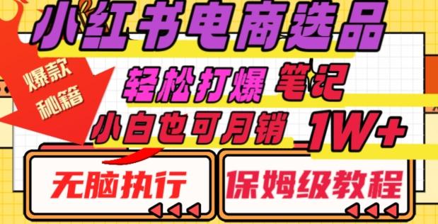 小红书电商爆款选品秘籍，帮你轻松打爆笔记，小白也可轻松月销10000+-一个公司创业项目 - 淘金吧