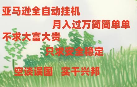 亚马逊全自动浏览挂机，，收益稳定且前景广阔-一个公司创业项目 - 淘金吧
