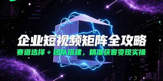 企业短视频矩阵全攻略,赛道选择+团队搭建,精准获客变现实操-一个公司创业项目 - 淘金吧