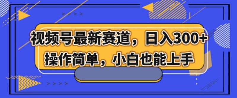 视频号最新赛道,日入300+,新手小白轻松掌握-一个公司创业项目 - 淘金吧