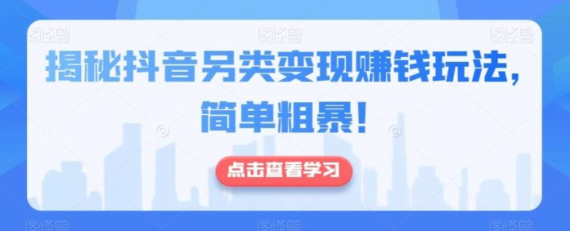 揭秘抖音另类变现赚钱玩法，简单粗暴！-一个公司创业项目 - 淘金吧