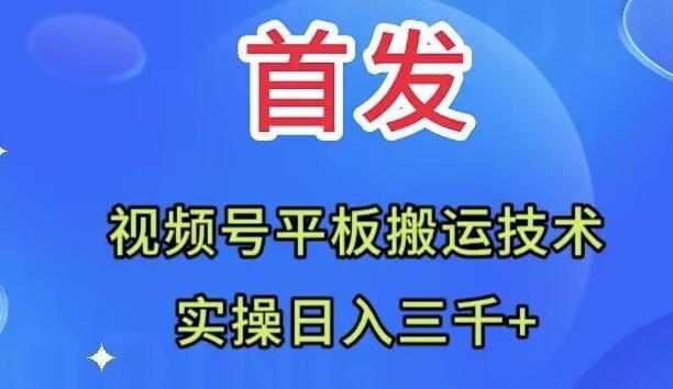全网首发：视频号平板搬运技术，实操日入三千＋-一个公司创业项目 - 淘金吧