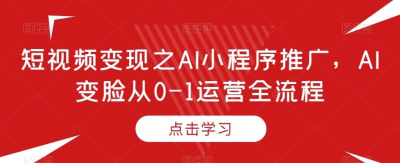 短视频变现之AI小程序推广，AI变脸从0-1运营全流程-一个公司创业项目 - 淘金吧