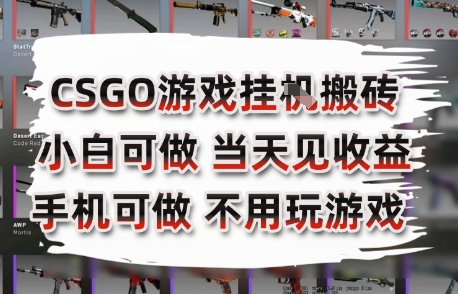 CSGO游戏挂G搬砖，小白纯手机即可操作，不用电脑打游戏，日入3张+，副业网创项目【揭秘】-一个公司创业项目 - 淘金吧