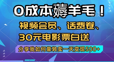 0成本薅羊毛!视频会员、话费卷、30元电影票白送,分享我如何靠转卖一天变现5张+【揭秘】-一个公司创业项目 - 淘金吧