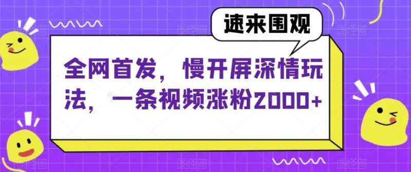 全网首发,慢开屏深情玩法,一条视频涨粉2000+【揭秘】-一个公司创业项目 - 淘金吧