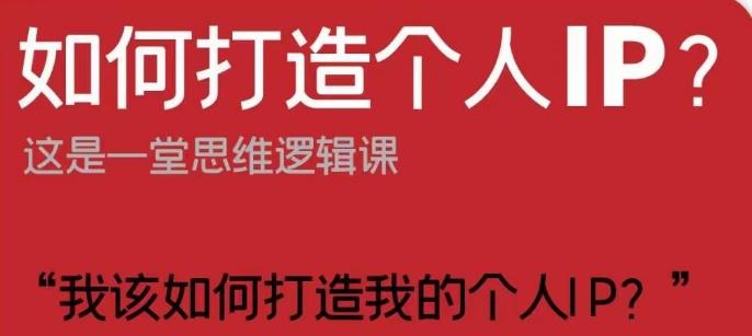如何打造个人IP?这是一堂思维逻辑课“我该如何打造我的个人IP?”-一个公司创业项目 - 淘金吧