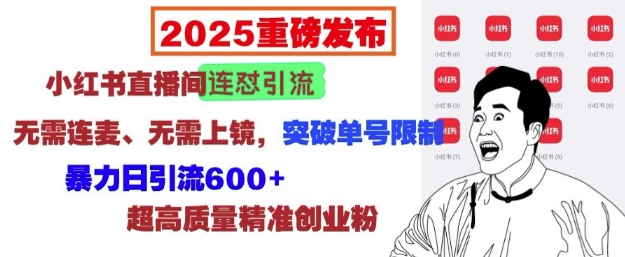 2025重磅发布:小红书直播间连怼引流,无需连麦、无需上镜,突破单号限制,暴力日引流600+-一个公司创业项目 - 淘金吧