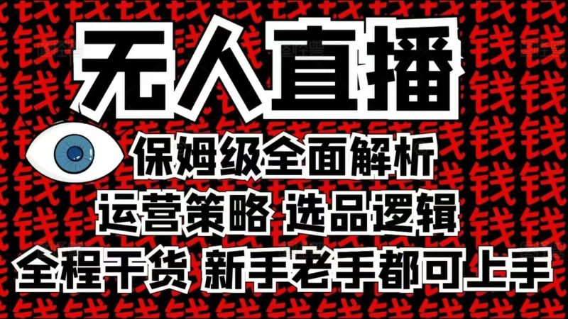2025无人直播这么做就对了，保姆级全面解析，全程干货，新手老手都可上手-一个公司创业项目 - 淘金吧