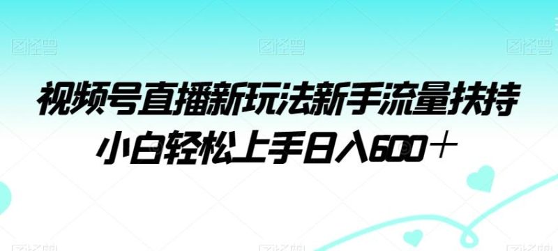 视频号直播新玩法新手流量扶持小白轻松上手日入600+【揭秘】-一个公司创业项目 - 淘金吧