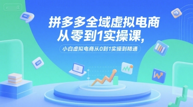 拼多多全域虚拟电商从零到1实操课，小白虚拟电商从0到1实操到精通-一个公司创业项目 - 淘金吧