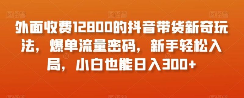 外面收费12800的抖音带货新奇玩法,爆单流量密码,新手轻松入局,小白也能日入300+【揭秘】-一个公司创业项目 - 淘金吧