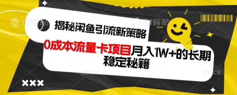 揭秘闲鱼引流新策略:0成本流量卡项目,月入1W+的长期稳定秘籍-一个公司创业项目 - 淘金吧