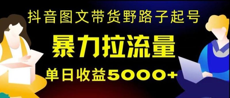 抖音图文带货暴力起号,单日收益5000+,野路子玩法,简单易上手,一部手机即可【揭秘】-一个公司创业项目 - 淘金吧