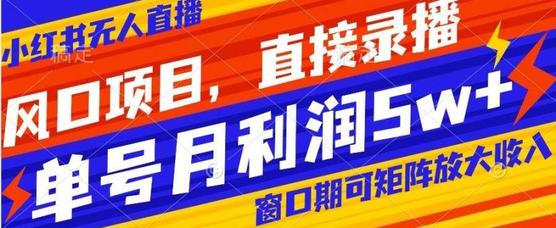 风口项目,小红书无人直播带货,直接录播,可矩阵,月入5w+【揭秘】-一个公司创业项目 - 淘金吧