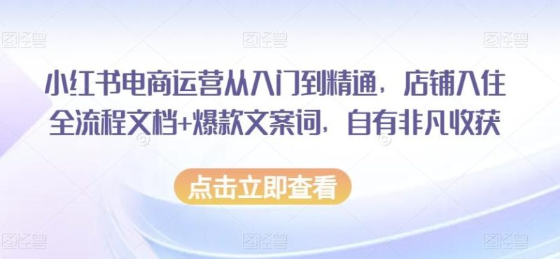 小红书电商运营从入门到精通，店铺入住全流程文档+爆款文案词，自有非凡收获-一个公司创业项目 - 淘金吧