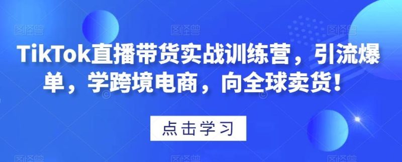 TikTok直播带货实战训练营,引流爆单,学跨境电商,向全球卖货!-一个公司创业项目 - 淘金吧