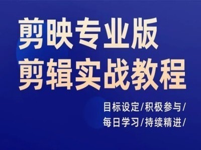 剪映专业版剪辑实战教程，目标设定/积极参与/每日学习/持续精进-一个公司创业项目 - 淘金吧