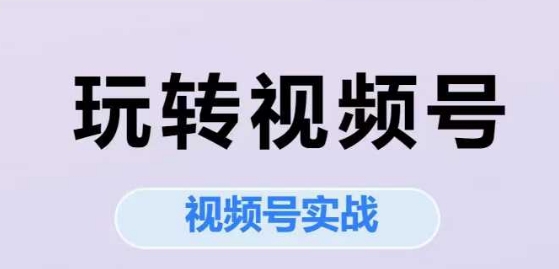 玩转视频号,视频号实战系列课-一个公司创业项目 - 淘金吧