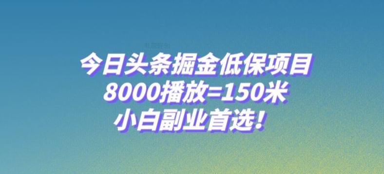 今日头条掘金低保项目，8000播放=150米，小白副业首选【揭秘】-一个公司创业项目 - 淘金吧