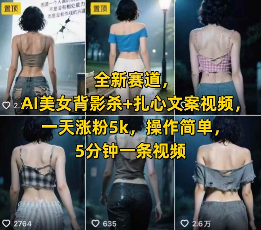 全新赛道,AI美女背影杀+扎心文案视频,一天涨粉5k,操作简单,5分钟一条视频-一个公司创业项目 - 淘金吧