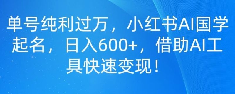 单号纯利过万，小红书AI国学起名，日入600+，借助AI工具快速变现-一个公司创业项目 - 淘金吧