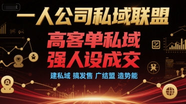 一人公司私域联盟，高客单私域，强人设成交，建私域 搞发售 广结盟 造势能-一个公司创业项目 - 淘金吧
