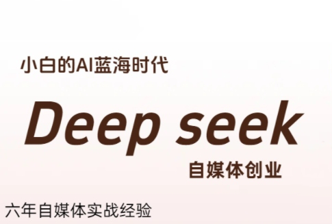 冰冰老师·普通人如何利用Deepseek创业-一个公司创业项目 - 淘金吧