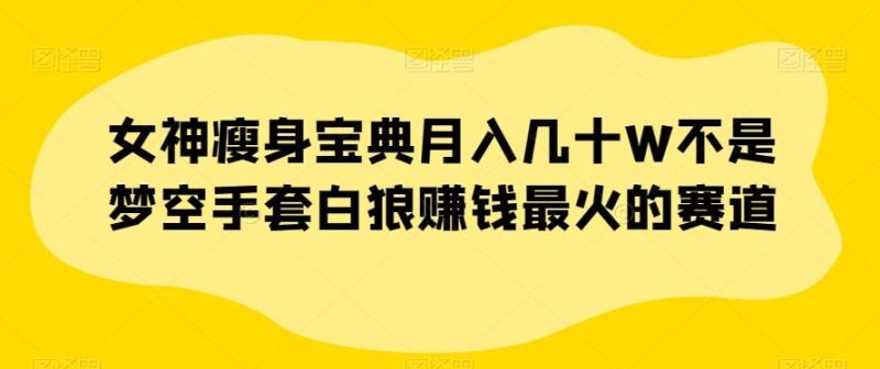 女神瘦身宝典月入几十W不是梦空手套白狼赚钱最火的赛道【揭秘】-一个公司创业项目 - 淘金吧