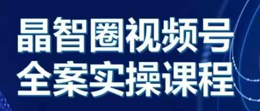 晶姐说直播·视频号全案实操课,从0-1全流程-一个公司创业项目 - 淘金吧