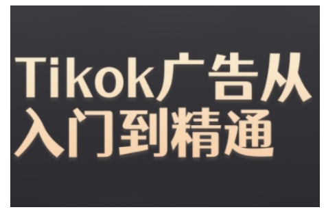 Tiktok Ads实操教程,Tiktok广告从入门到精通-一个公司创业项目 - 淘金吧