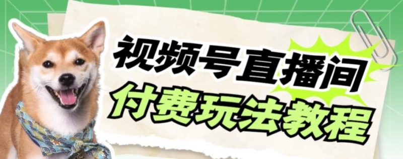 视频号美女付费无人直播，轻松日入500+【详细玩法教程】-一个公司创业项目 - 淘金吧