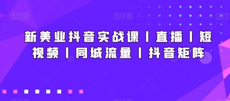 新美业抖音实战课丨直播丨短视频丨同城流量丨抖音矩阵-一个公司创业项目 - 淘金吧
