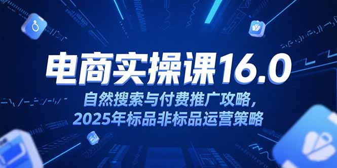 淘宝电商运营课16.0，自然搜索与付费推广攻略，2025年标品非标品运营策略-一个公司创业项目 - 淘金吧