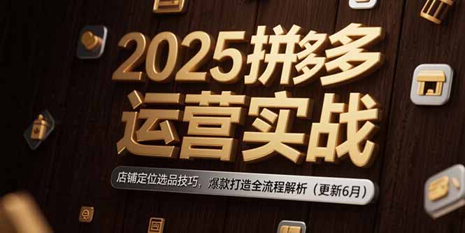 2025拼多多运营实战:店铺定位选品技巧,爆款打造全流程解析(更新6月-一个公司创业项目 - 淘金吧