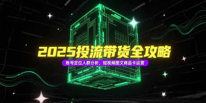 2025投流带货全攻略,账号定位人群分析,短视频图文商品卡运营-一个公司创业项目 - 淘金吧