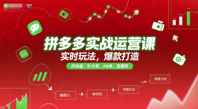 拼多多实战运营课,实时玩法,爆款打造,改销量,补大单,AB单,直播等(更新2025月)-一个公司创业项目 - 淘金吧