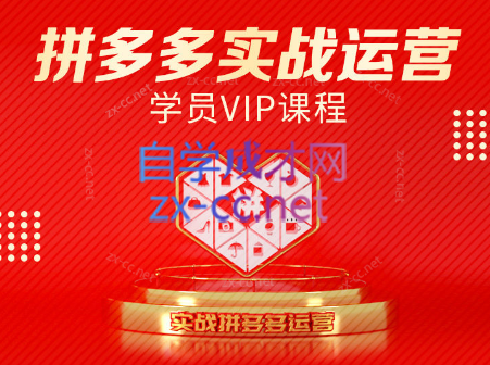 推易电商·拼多多实战运营课(更新2025月)-一个公司创业项目 - 淘金吧