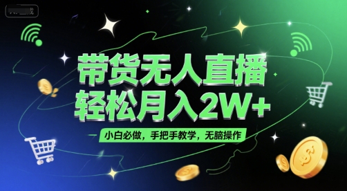 带货无人直播,轻松月入2W+,小白必做,手把手教学,无脑操作(附学习资料)-一个公司创业项目 - 淘金吧