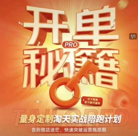 淘宝开单秘籍PRO,量身定制淘天实战陪跑计划,告别做店迷茫、快速突破运营瓶颈期(更新6月)-一个公司创业项目 - 淘金吧