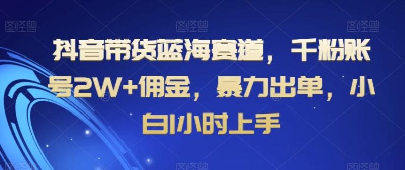 抖音带货蓝海赛道，千粉账号2W+佣金，暴力出单，小白1小时上手【揭秘】-一个公司创业项目 - 淘金吧