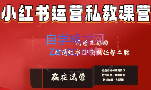 赢在运营·小红书IP变现运营私教课-一个公司创业项目 - 淘金吧