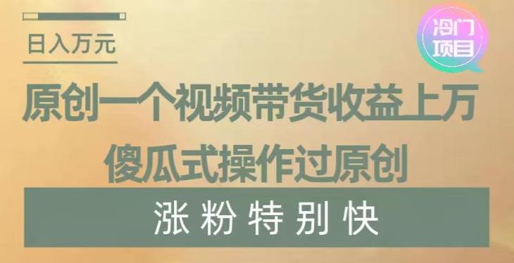 原创一个视频带货收益上万，傻瓜式操作过原创，几分钟做一个视频涨粉特别快【揭秘】-一个公司创业项目 - 淘金吧