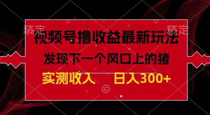 视频号分成计划最新玩法,单条作品几分钟制作完成,日入300+,过年前最后的冲刺-一个公司创业项目 - 淘金吧