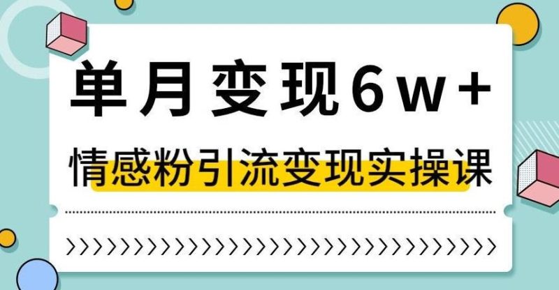 单月变现6W+,抖音情感粉引流变现实操课,小白可做,轻松上手,独家赛道【揭秘】-一个公司创业项目 - 淘金吧